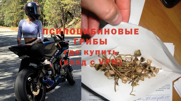 PSILOCYBIN Балабаново