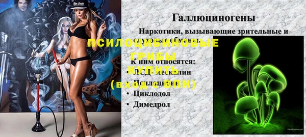 PSILOCYBIN Балабаново
