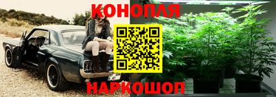 ПСИЛОЦИБИНОВЫЕ ГРИБЫ Малоярославец
